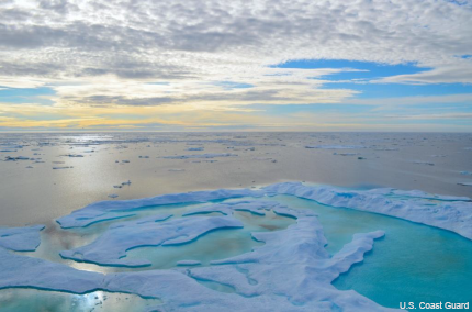 Arctic Ocean sea ice